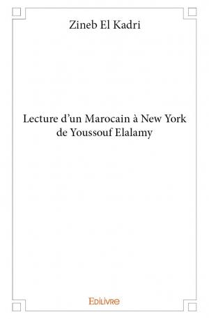 Lecture d'un Marocain à New York de Youssouf Elalamy