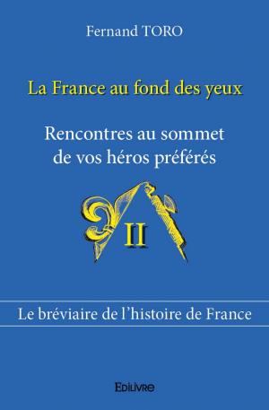 La France au fond des yeux - Tome II