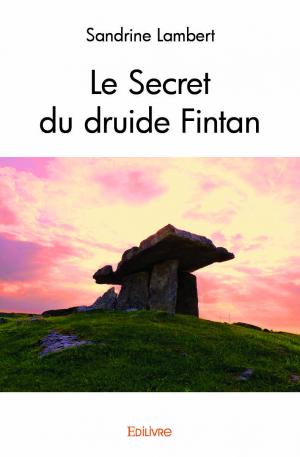 Le Secret du druide Fintan