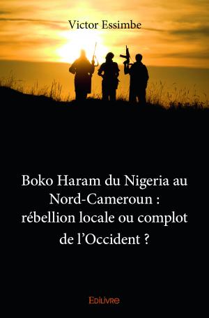 Boko Haram du Nigeria au Nord-Cameroun : rébellion locale ou complot de l'Occident ?