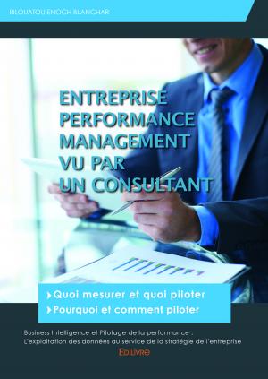 Entreprise performance management vu par un consultant