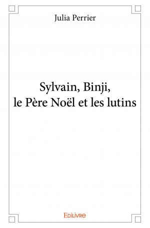 Sylvain, Binji, le Père Noël et les lutins