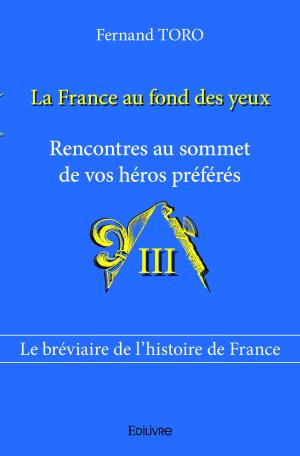 La France au fond des yeux-Tome III