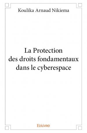 La Protection des droits fondamentaux dans le cyberespace