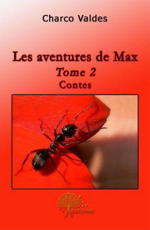 Les aventures de Max - Tome 2