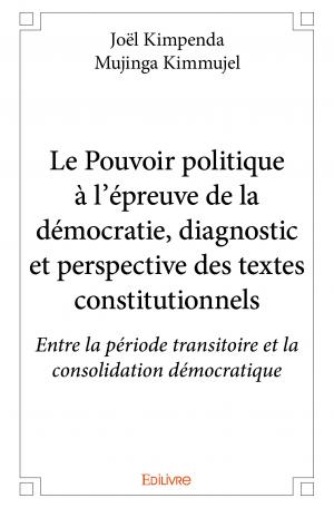 Le Pouvoir politique à l'épreuve de la démocratie, diagnostic et perspective des textes constitutionnels