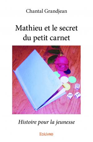 Mathieu et le secret du petit carnet