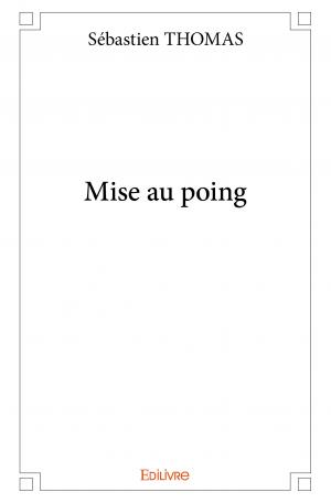 Mise au poing