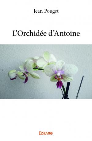 L'Orchidée d'Antoine