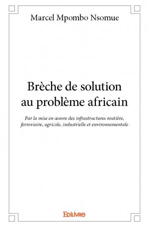 Brèche de solution  au problème africain