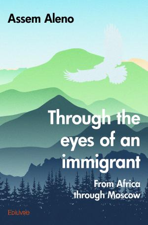 Through the eyes  of an immigrant