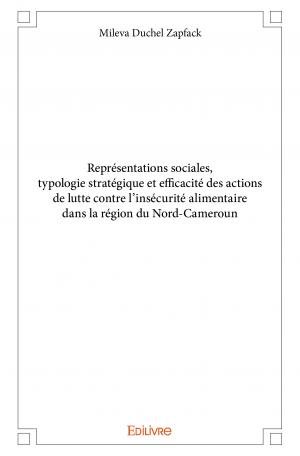 Représentations sociales, typologie stratégique et efficacité des actions de lutte contre l’insécurité alimentaire dans la région du Nord-Cameroun