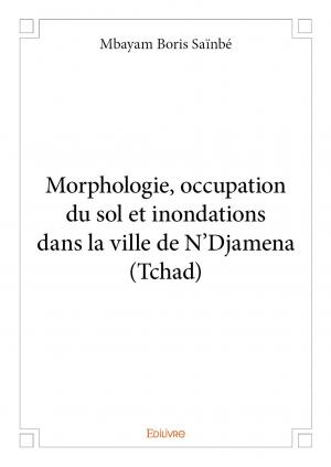 Morphologie, occupation du sol et inondations dans la ville de N'Djamena (Tchad)