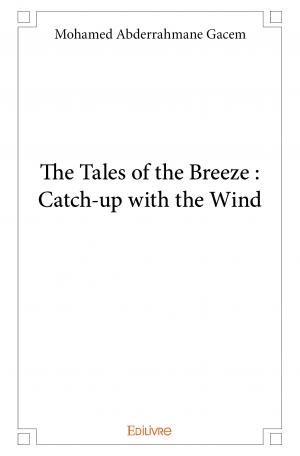 The Tales of the Breeze:  Catch-up with the Wind