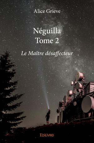 Néguilla – Tome 2