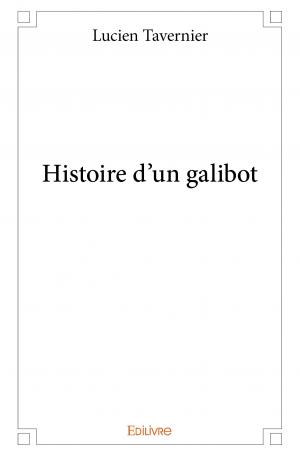 Histoire d'un galibot
