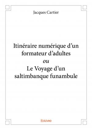 Itinéraire numérique d’un formateur d’adultes <i>ou</i> Le Voyage d'un saltimbanque funambule