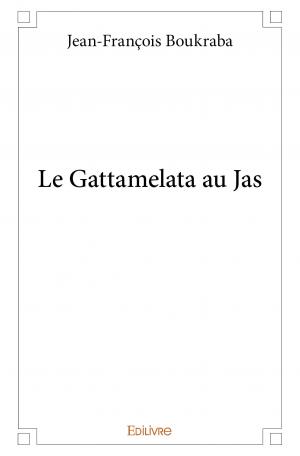 Le Gattamelata au Jas