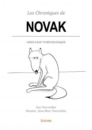 Les Chroniques de Novak
