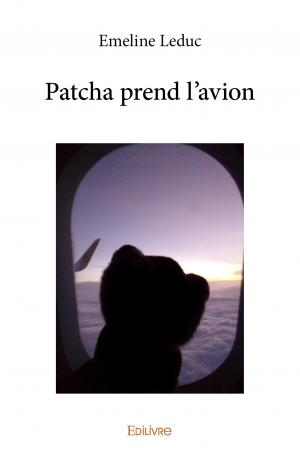 Patcha prend l'avion