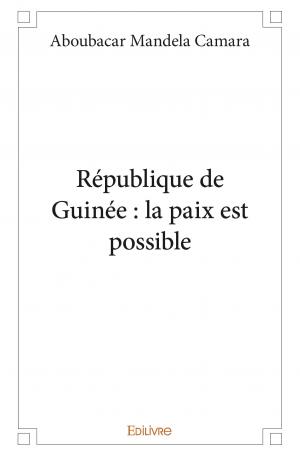République de Guinée : la paix est possible
