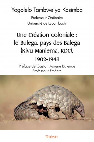 Une Création coloniale : le Bulega, pays des Balega (Kivu-Maniema, RDC), 1902-1948