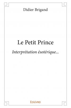 Le Petit Prince – Interprétation ésotérique…