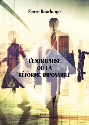 L'Entreprise ou la réforme impossible