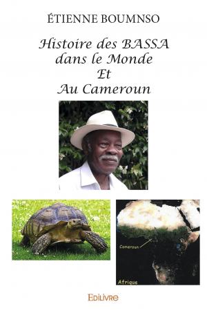 Histoire des Bassa dans le monde et au Cameroun