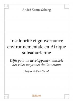 Insalubrité et gouvernance environnementale en Afrique subsaharienne