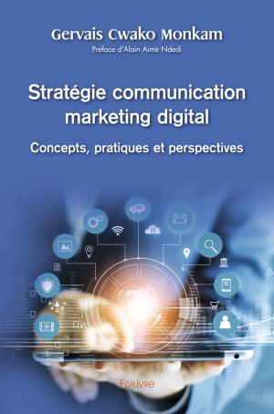 Stratégie communication marketing digital  : Concepts, pratiques et perspectives