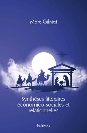 Synthèses littéraires économico-sociales et relationnelles