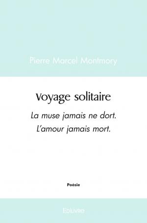 Voyage solitaire