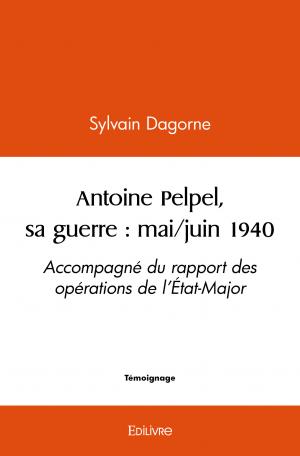 Antoine Pelpel, sa guerre : mai/juin 1940