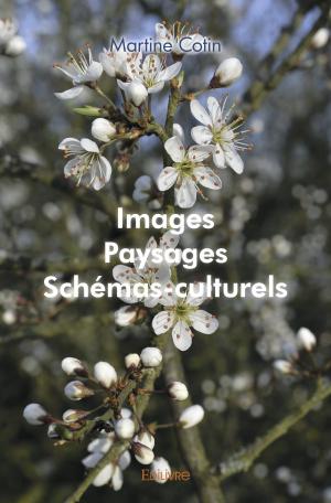 Images, paysages, schémas-culturels