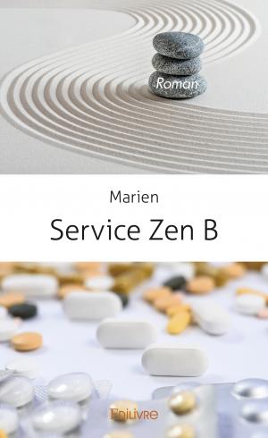 Service Zen B