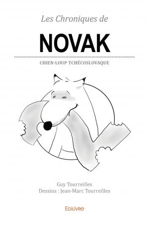 Les Chroniques de NOVAK 2