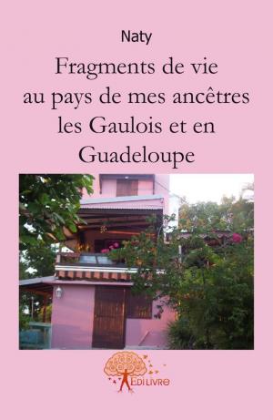  Fragments de vie au pays de mes ancêtres les gaulois et en Guadeloupe.