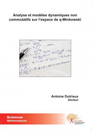 Analyse et modèles dynamiques non commutatifs sur l'espace de q-Minkowski