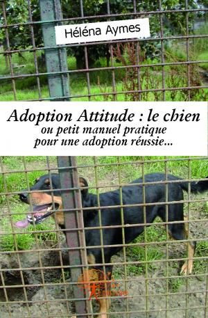 Adoption Attitude : le chien
