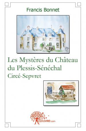 Les Mystères du Château du Plessis-Sénéchal