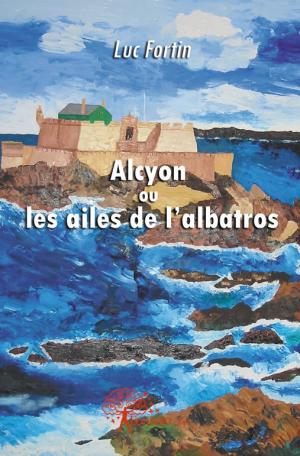 Alcyon ou les ailes de l'albatros