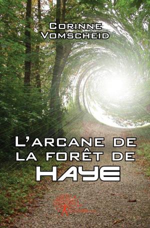 L'arcane de la forêt de Haye