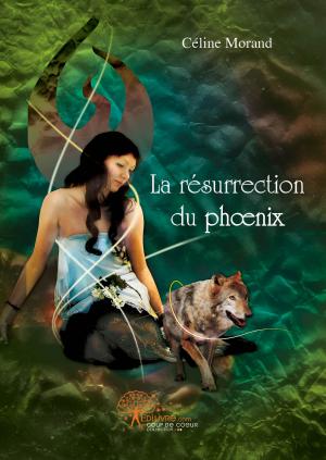 La Résurrection du Phoenix