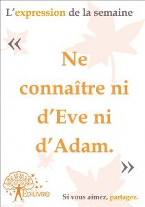 Ne_connaitre_ni_d'Eve_ni_d'Adam_Edilivre