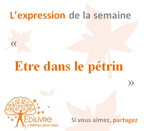Expression_de_la_semaine_Edilivre