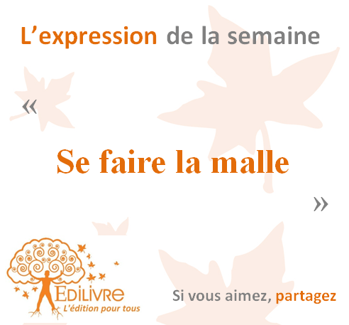 Se_faire_la_malle_Edilivre