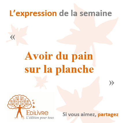 Avoir_du_pain_sur_la_planche_Edilivre