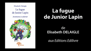 Bande_annonce_La_fugue_de_Junior_Lapin_Edilivre