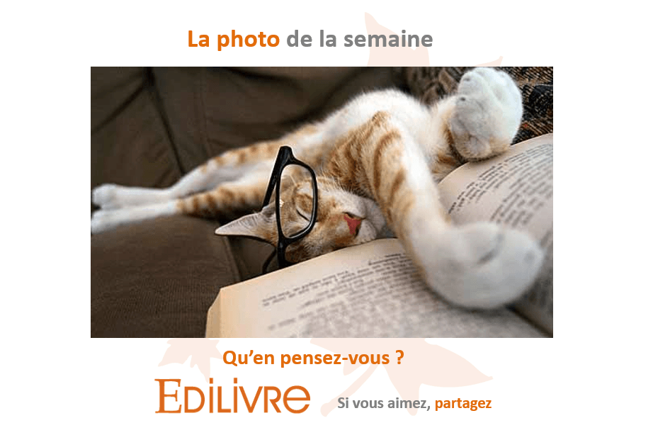 Photo_de_la_semaine_Edilivre